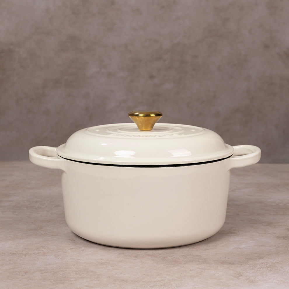 No. 9 Enamel Coated Cast Iron Dutch Oven